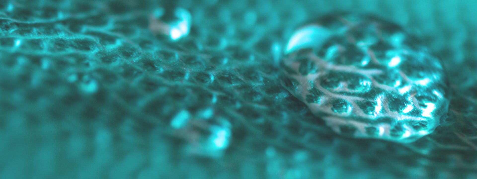 Dental bibs Reusable and ecofriendly DentalEcoBibs